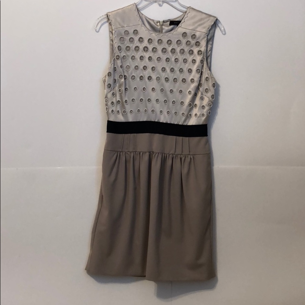 BCBG Dress